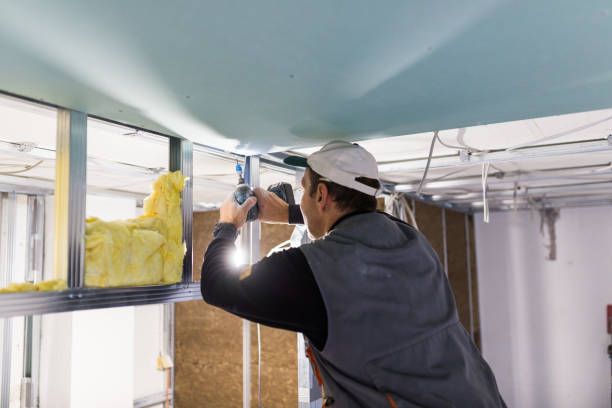 Best Geographic-Specific Insulation Services in Crystal City, MO