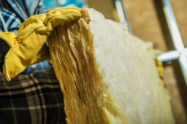 Best Specialized Insulation Services in Crystal City, MO