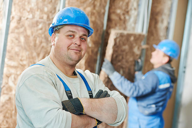 Best Commercial Insulation in Crystal City, MO